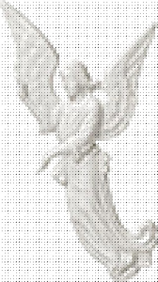 P31659 21